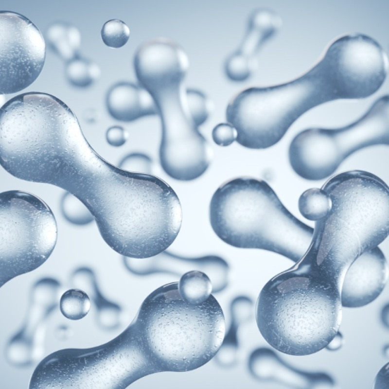 Probiotics for inflammation and gut-brain axis health research