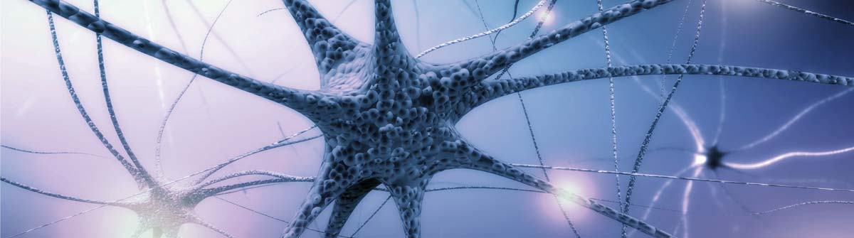 SAFFR'ACTIV Cell Mechanism of Action in Synapse